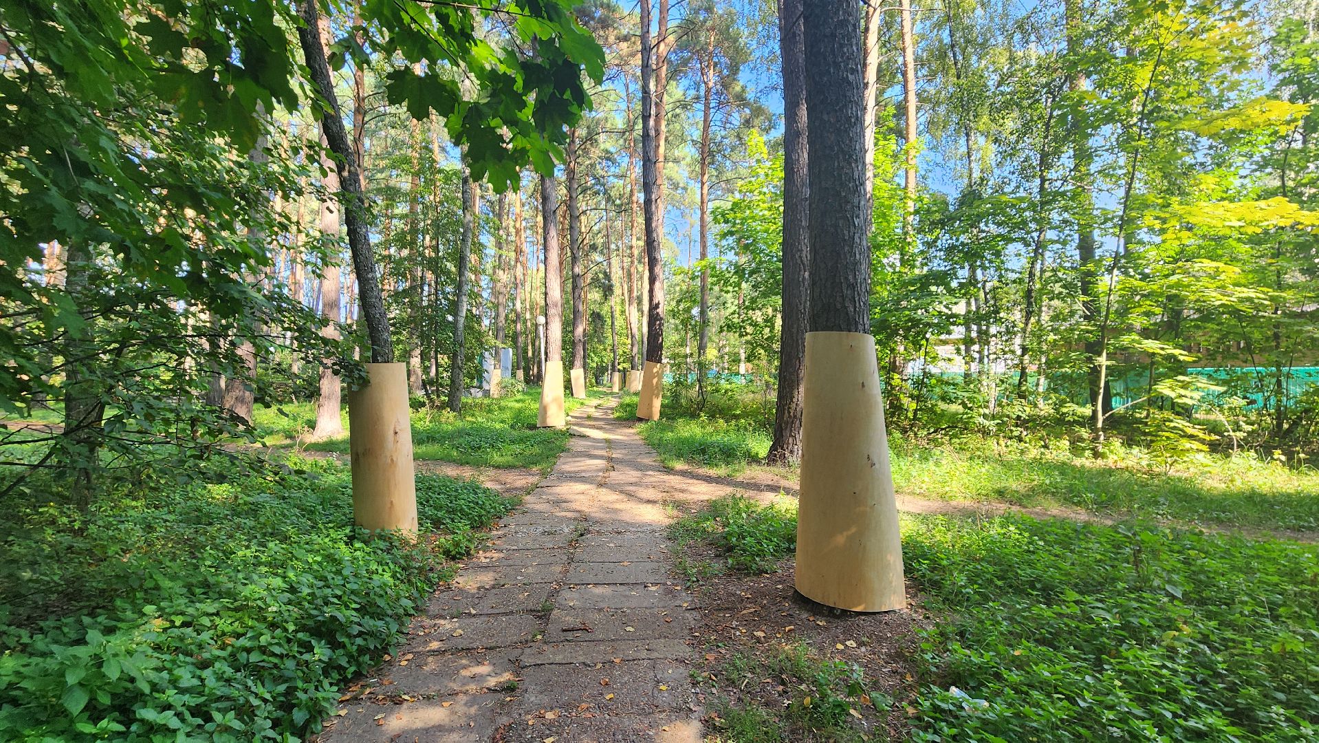 протвино, сказка, лес, зеленые насаждения, экология,