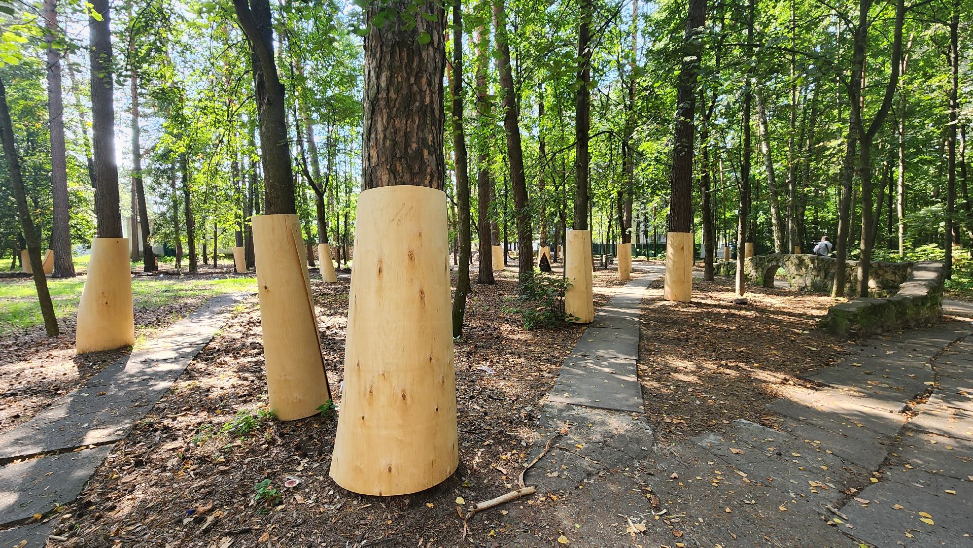 протвино, сказка, лес, зеленые насаждения, экология,