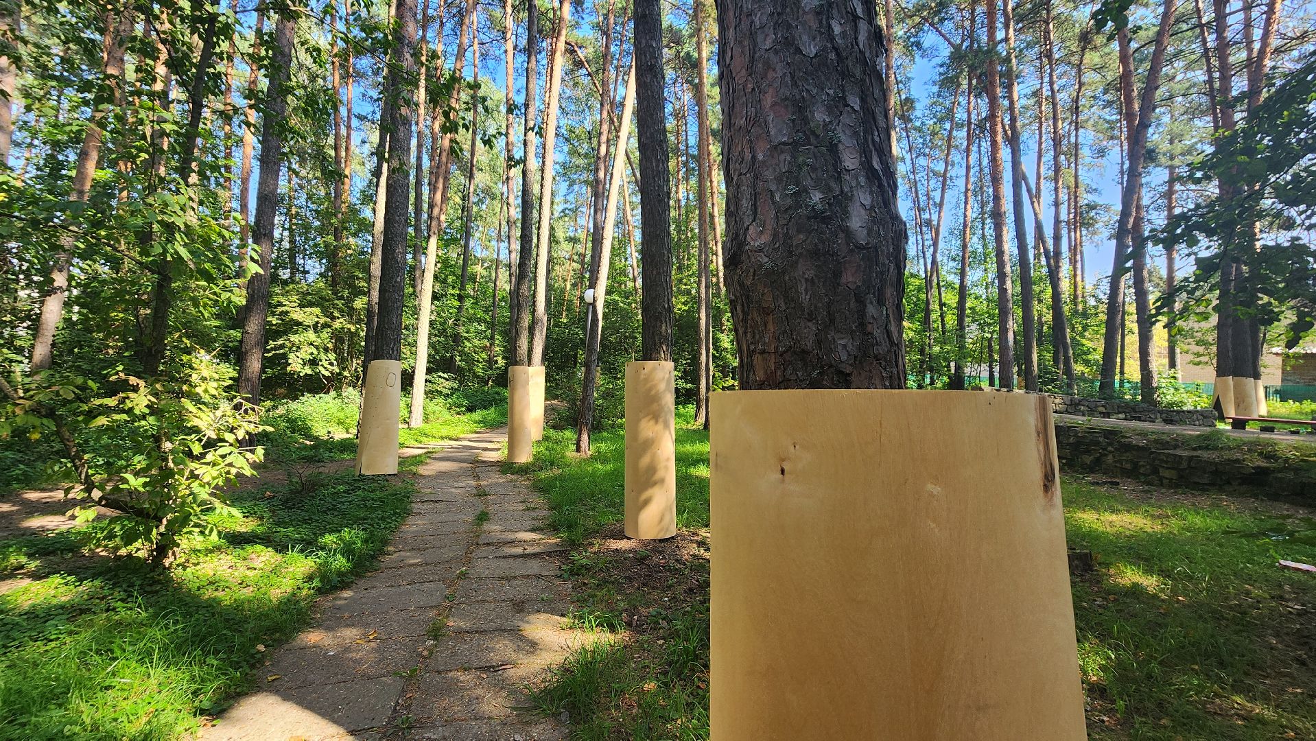 протвино, сказка, лес, зеленые насаждения, экология,