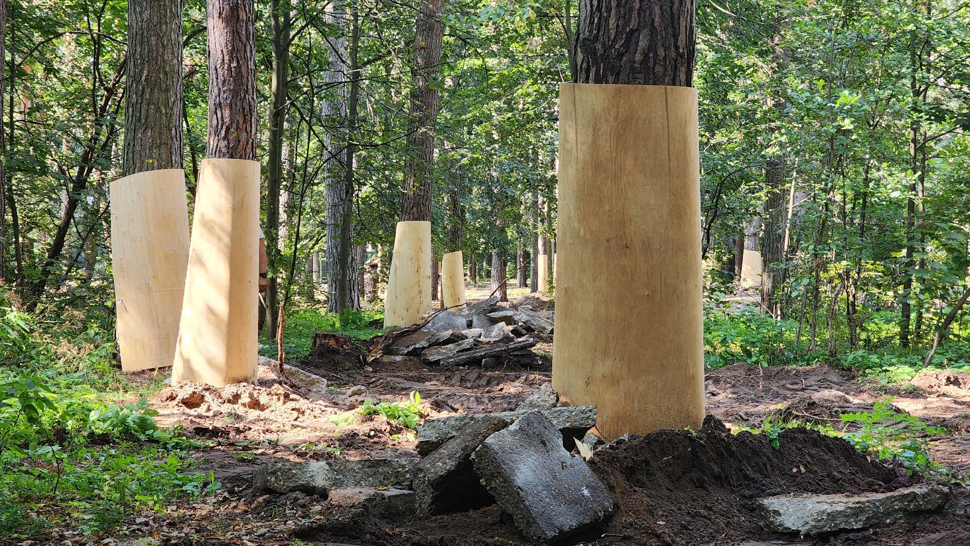 протвино, сказка, лес, зеленые насаждения, экология,