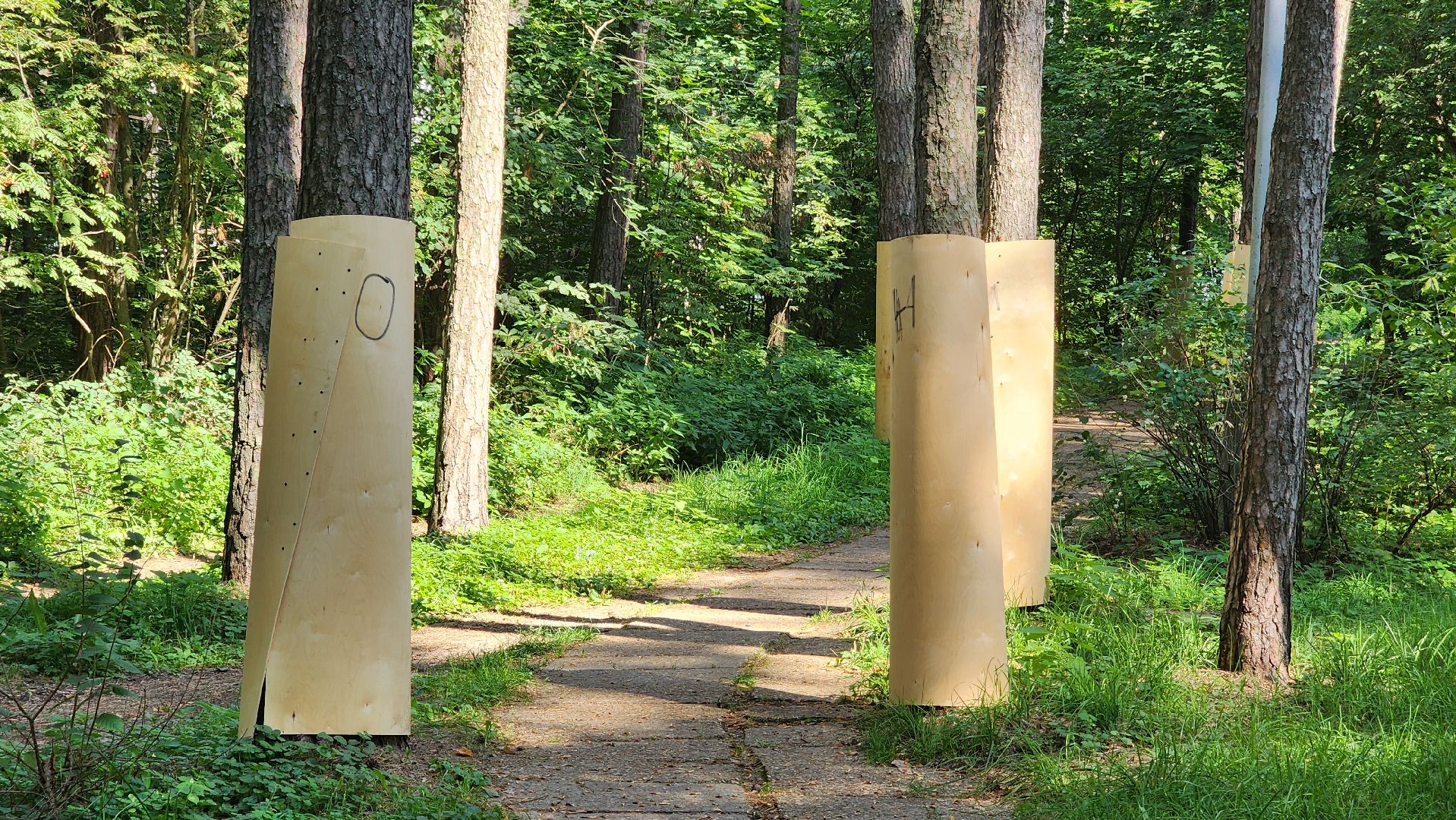 протвино, сказка, лес, зеленые насаждения, экология,