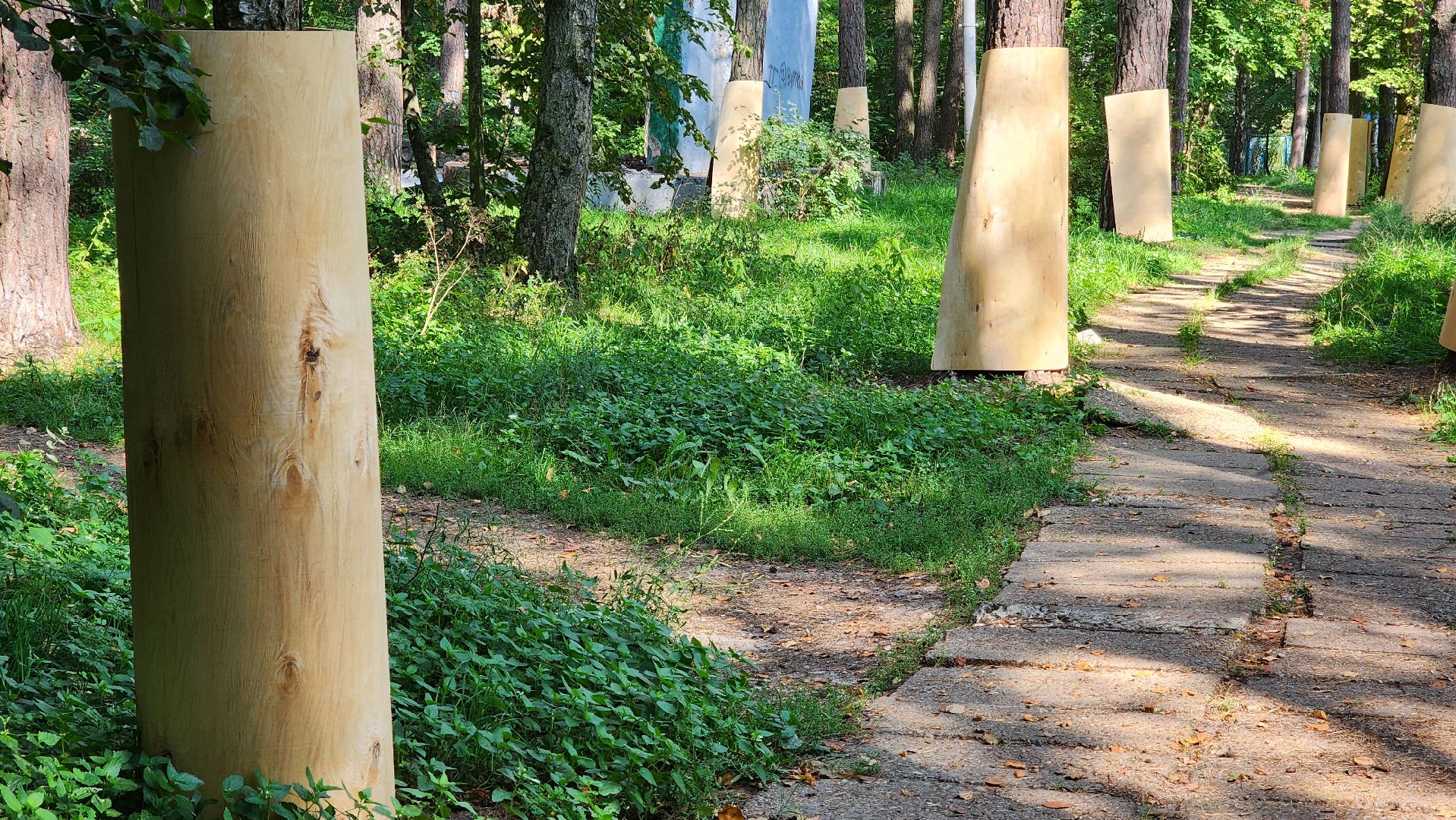 протвино, сказка, лес, зеленые насаждения, экология,