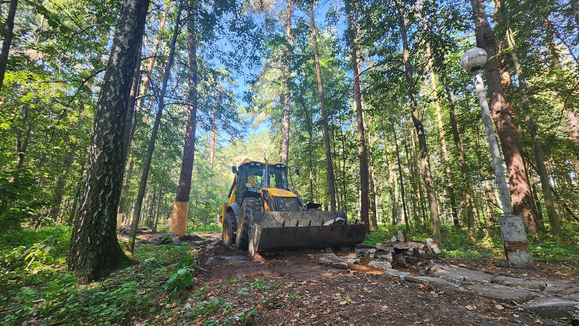 протвино, сказка, лес, зеленые насаждения, экология,
