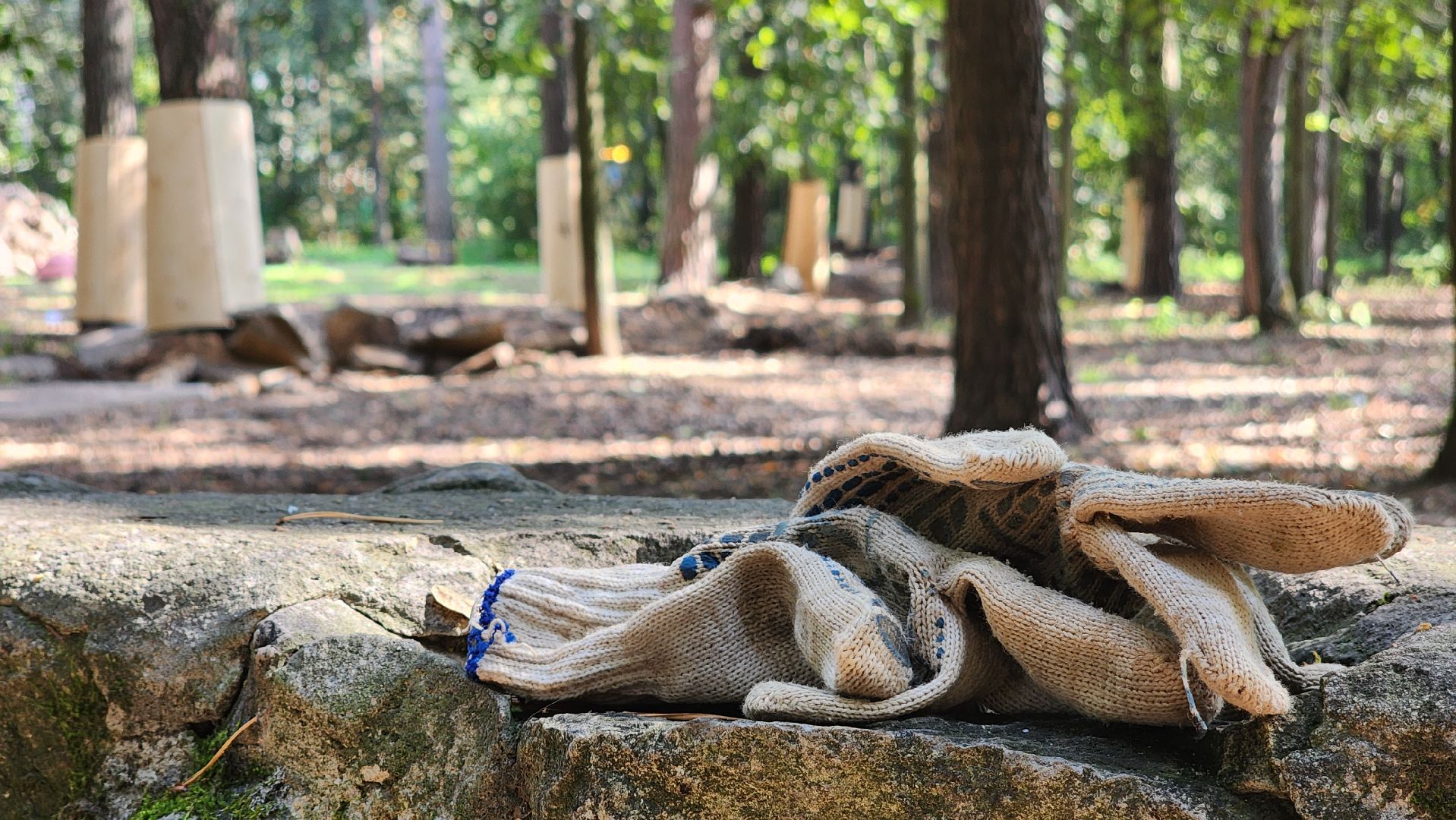 протвино, благоустройство, сказка, общественная территория, начало работ,