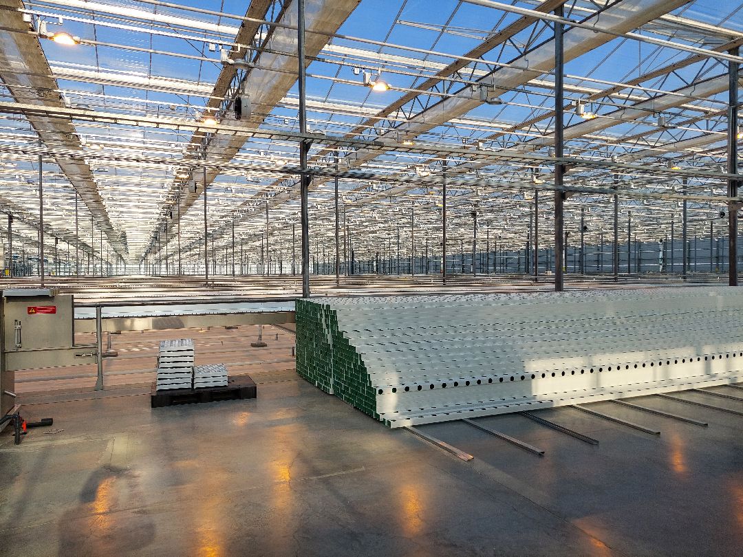 сельское хозяйство, импортозамещение, продукты, Воскресенск, листовой салат