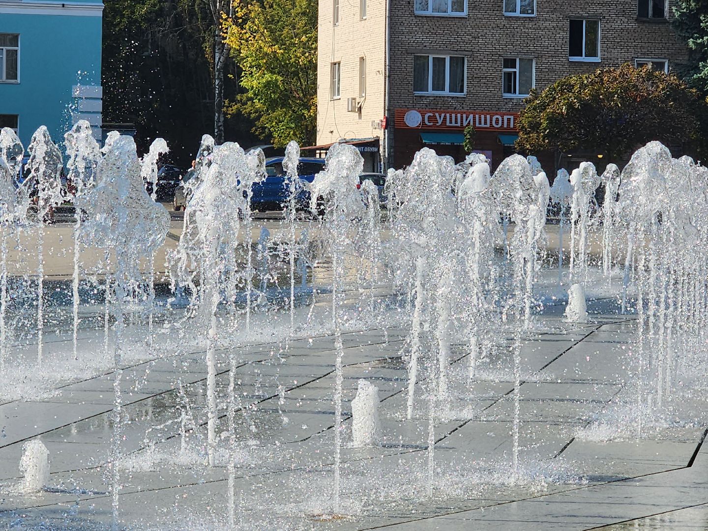 пушкино,
