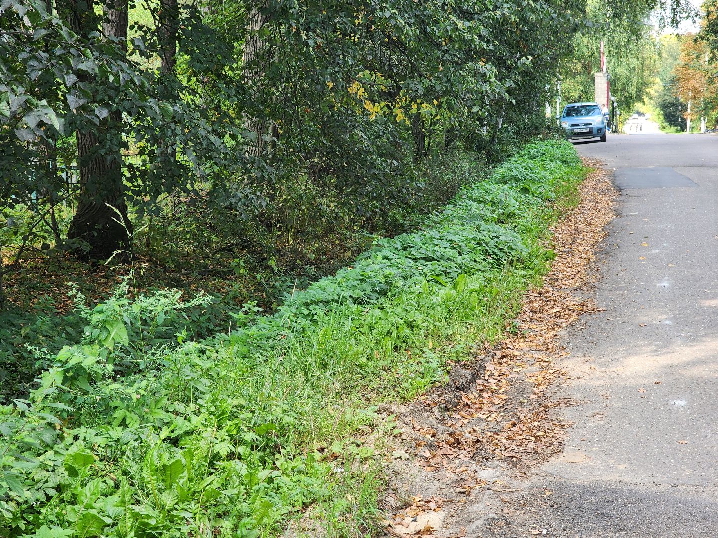 одинцово, немчиновка, жкх, экология, стоки, ливневая канализация, пруд,