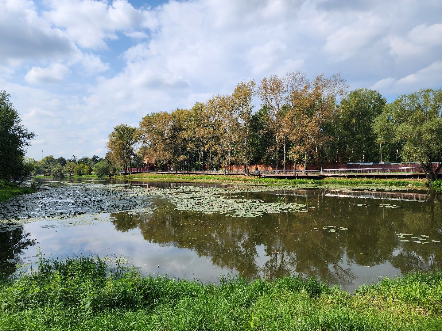 одинцово, немчиновка, жкх, экология, стоки, ливневая канализация, пруд,