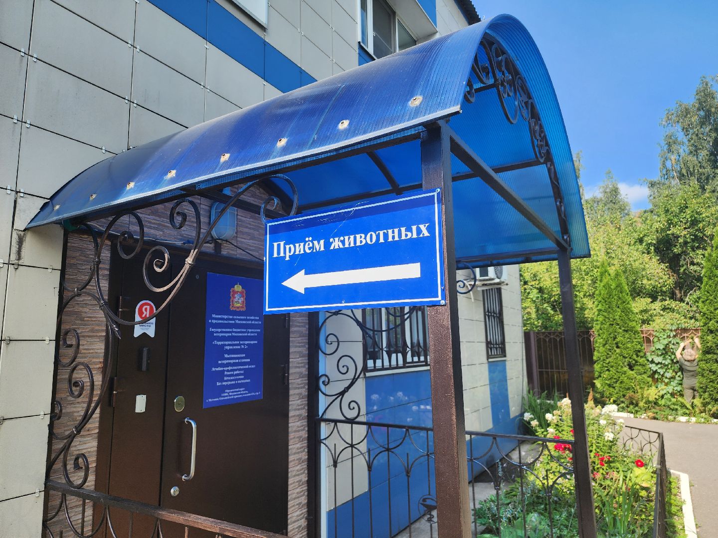 вет станция, ветеринарная клиника, мытищи,