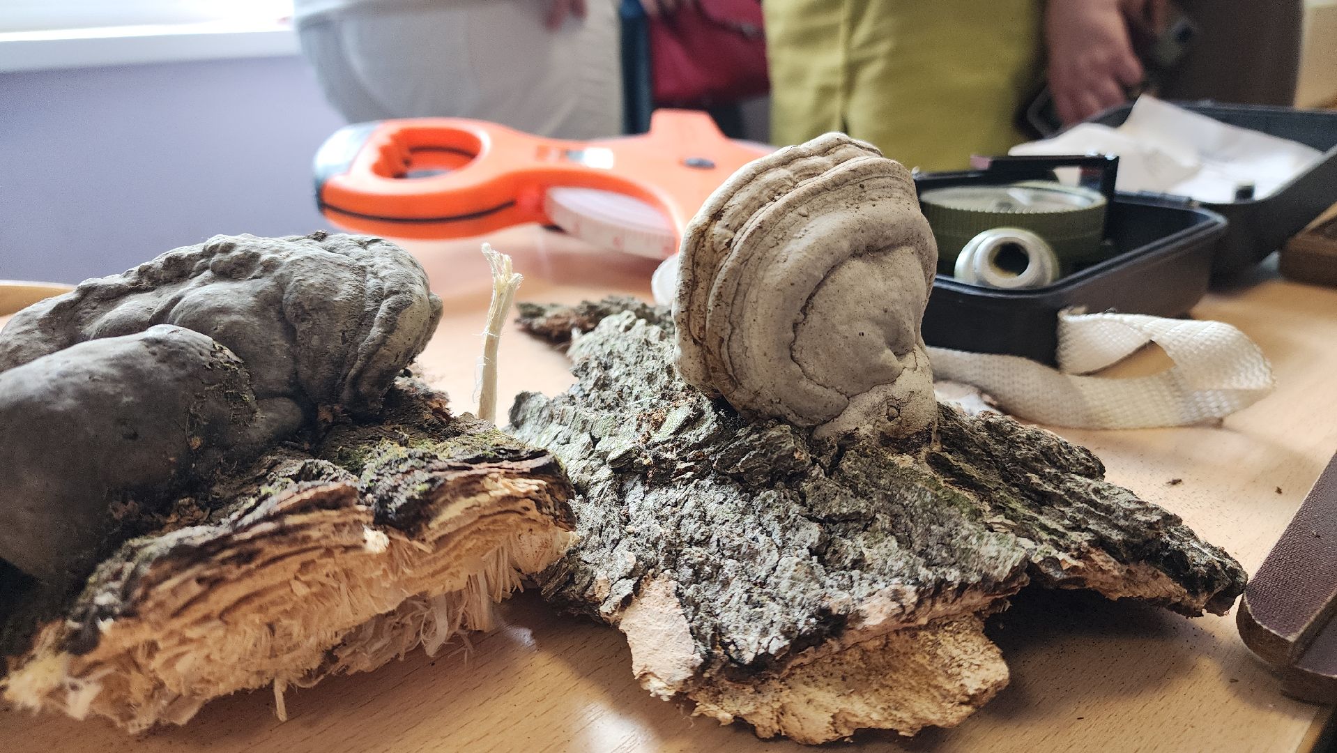 ступино, образование, педконференция,