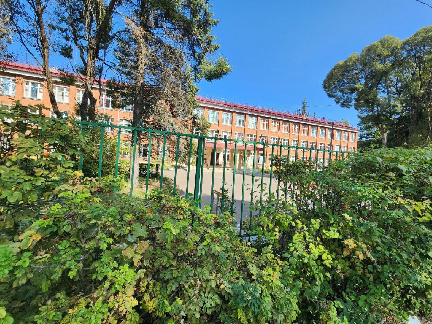 пущино, серпухов, молодые педагоги,