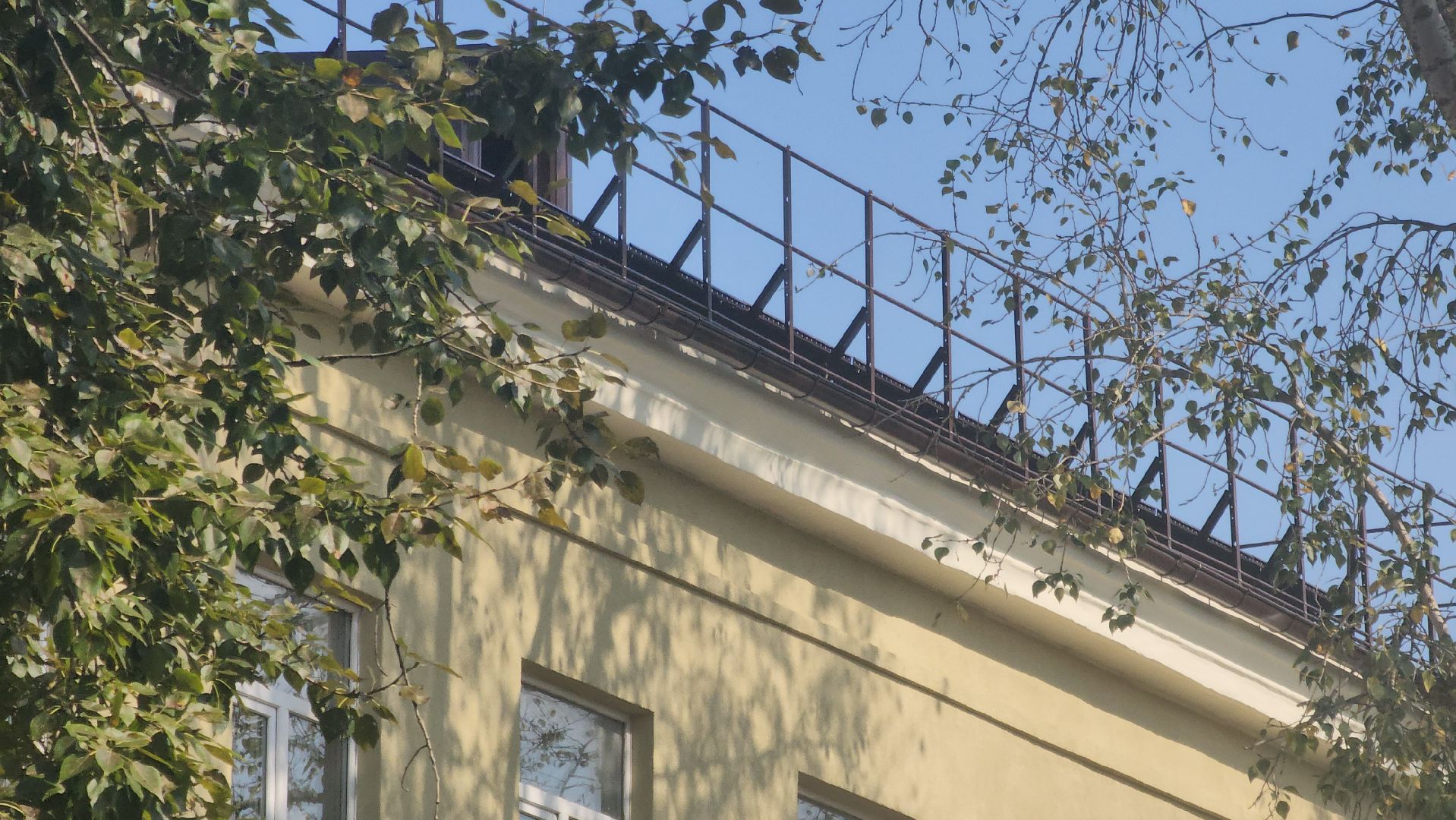 Павловский Посад, Городской округ Павловский Посад, Жители, Люди, Школа, Образование,