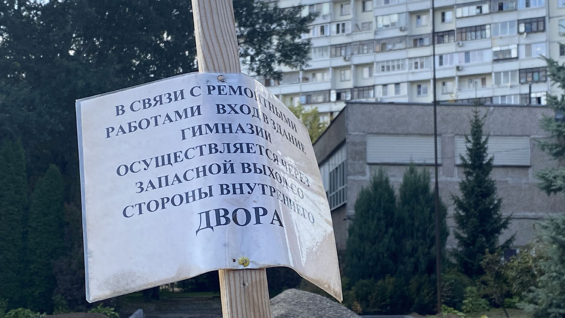 ремонт школы, лучшие педагоги, культ знаний, гимназия мечты,