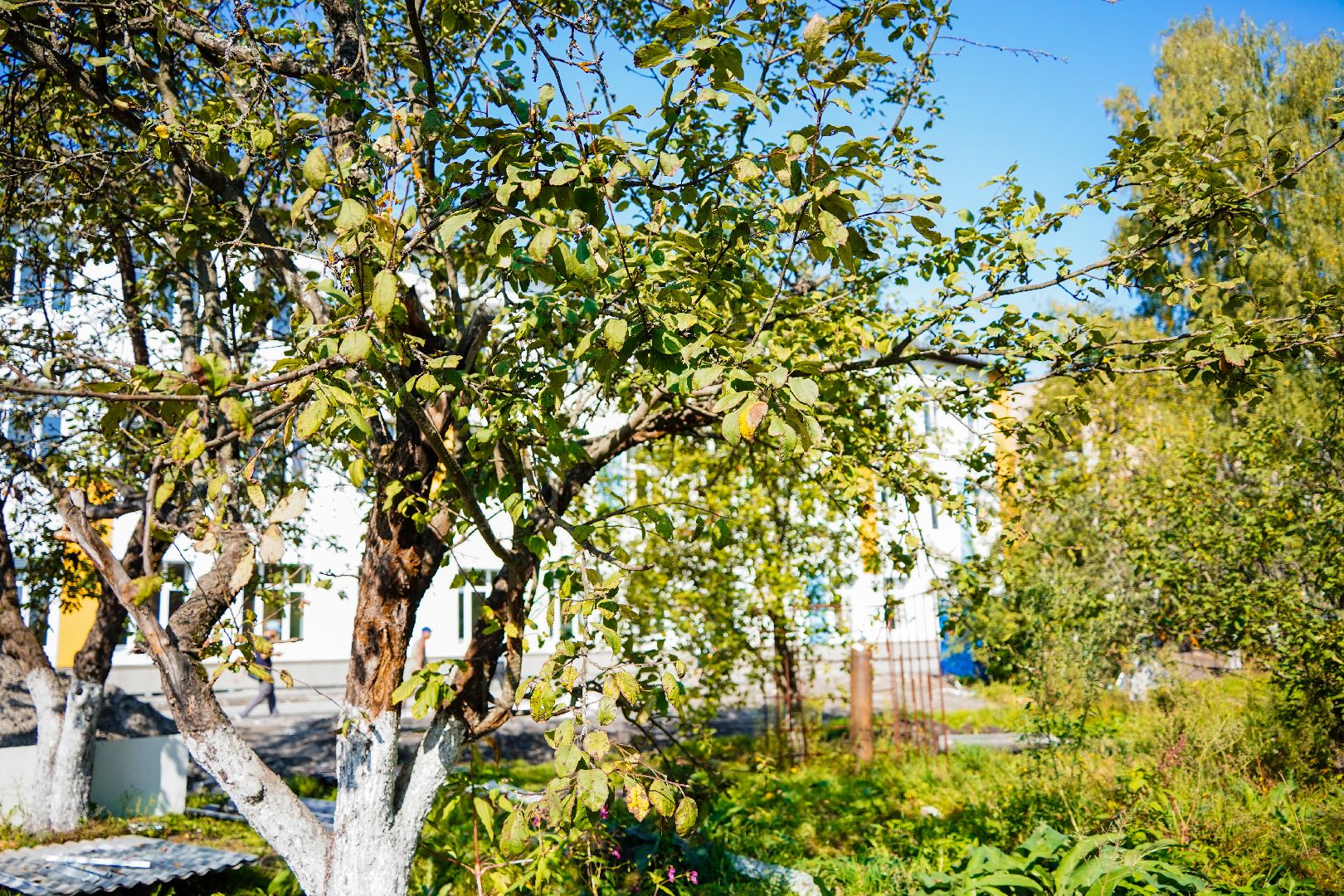 школа, Шатурторф, Шатура, городской округ Шатура, капремонт школы,