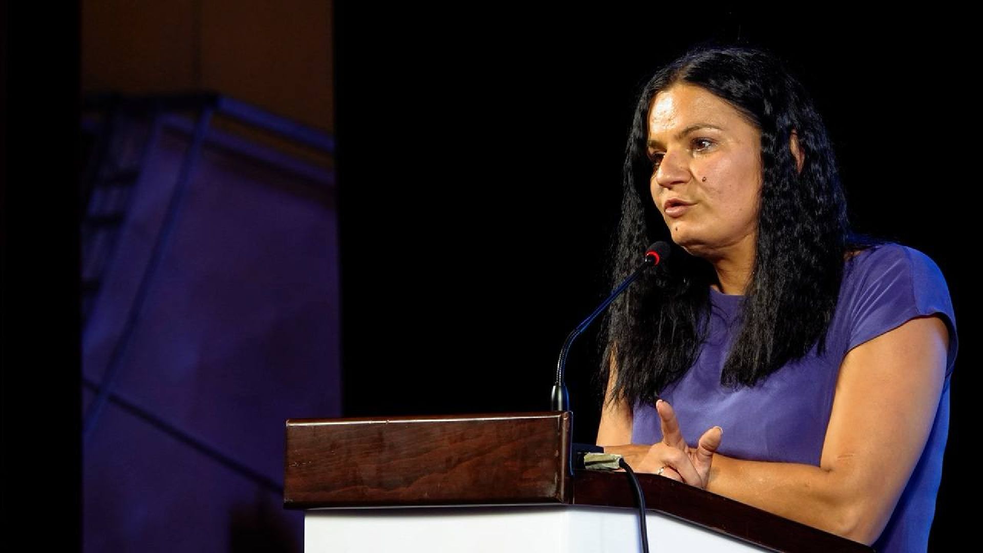 Выборы, Муниципальные выборы, Сергиев Посад, ТИК, Общественная палата, Наблюдатели,