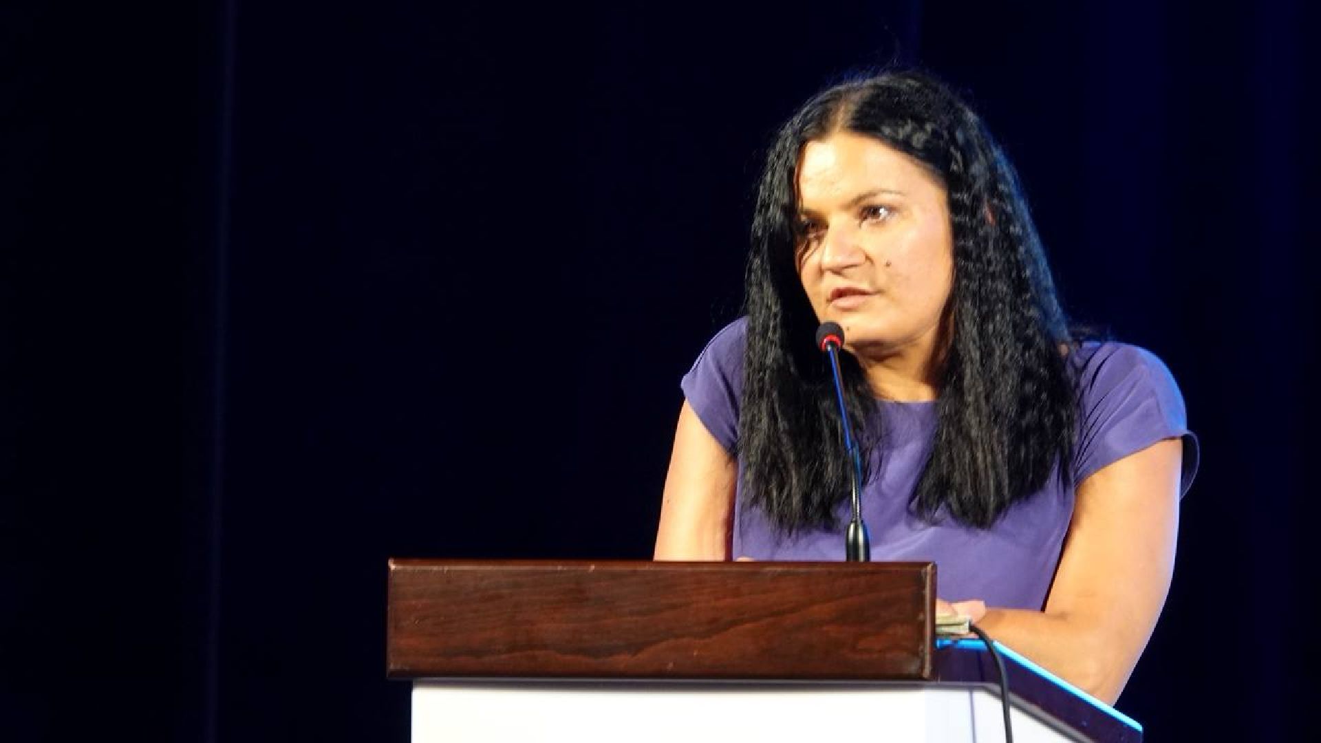 Выборы, Муниципальные выборы, Сергиев Посад, ТИК, Общественная палата, Наблюдатели,