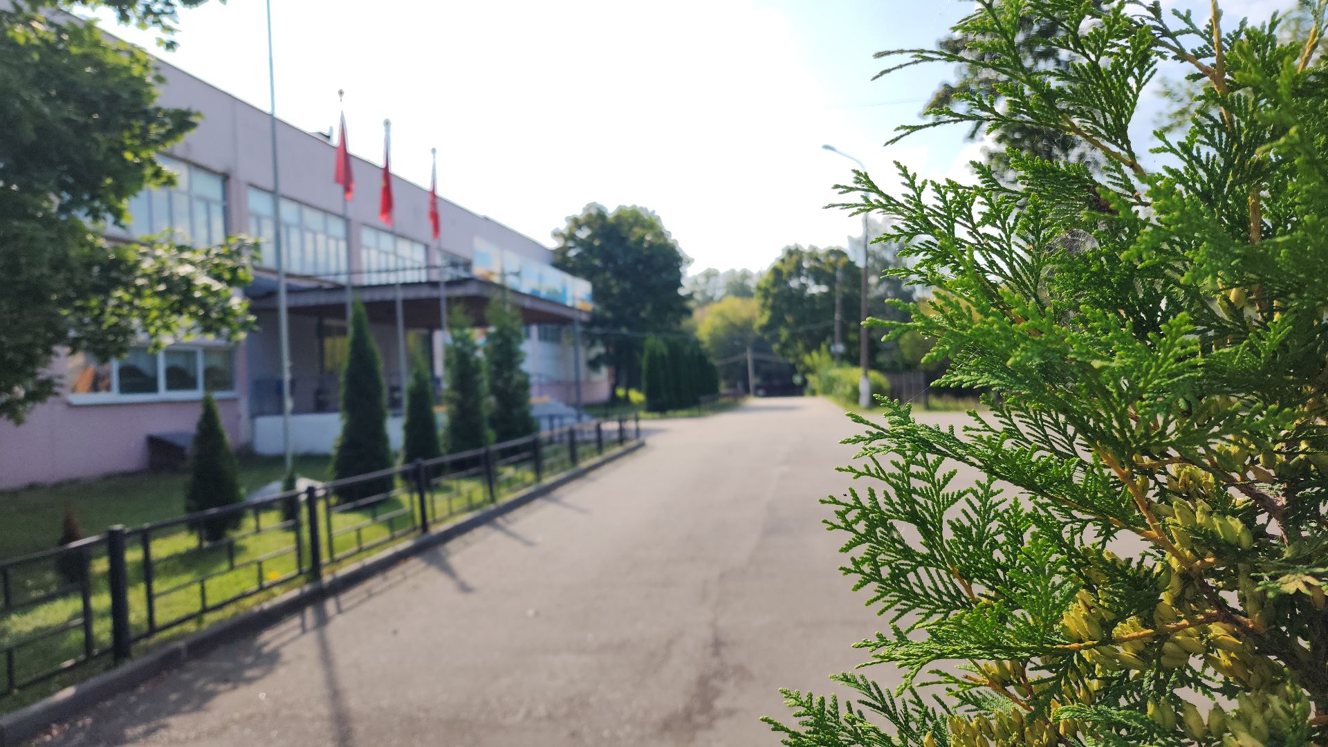 электросталь, мой город, жители города, гимназия 21, новый стадион, образование, образование в подмосковье, благоустройство 2024, спорт, здоровый образ жизни, школьный стадион,