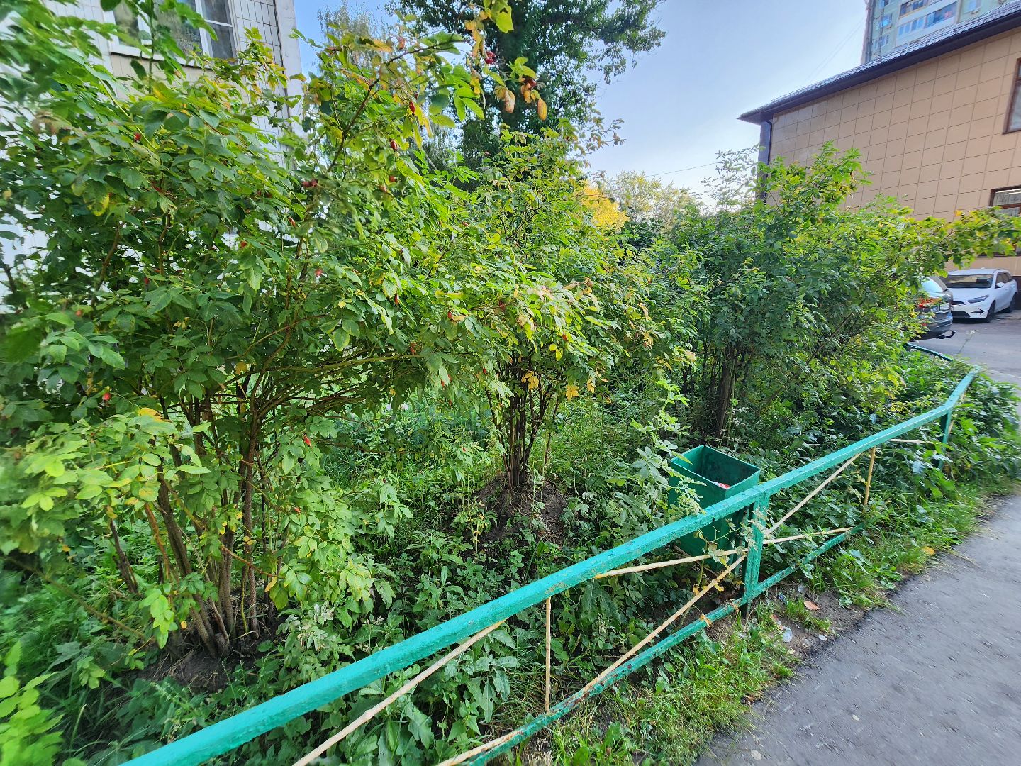 долгопрудный, выездная администрация, покос травы, микрорайон Островок,