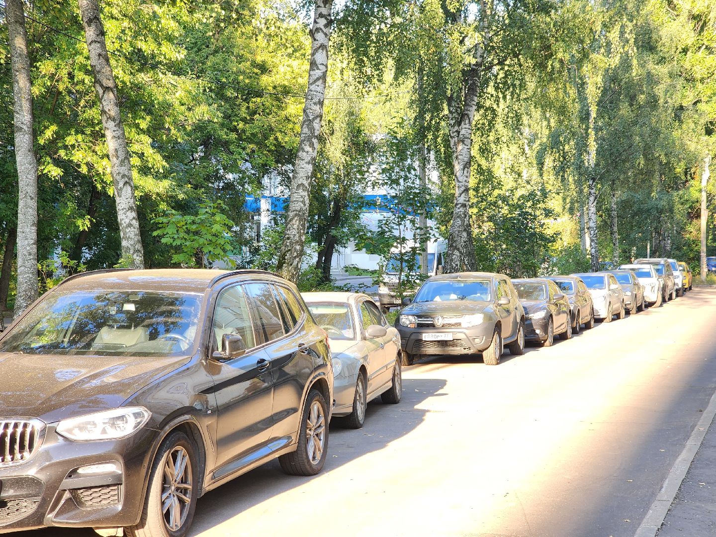 долгопрудный, выездная администрация, покос травы, микрорайон Островок,