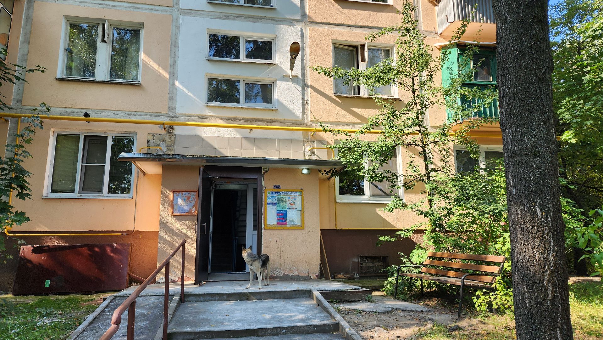 Бронницы, Ремонт подъездов, Косметический ремонт подъездов, Покраска стен и потолков в подъездах,