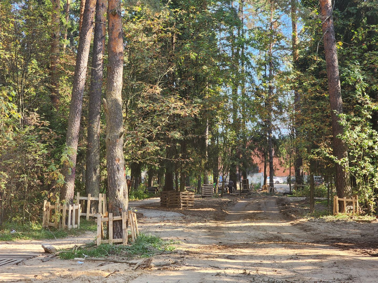 пушкино,