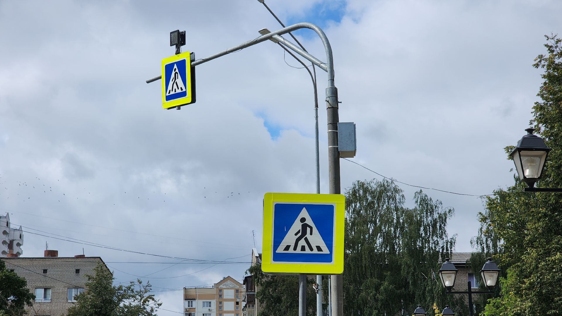 безопасность детей, дорога к школе, дороги, пешеходный переход, Лосино-Петровский,