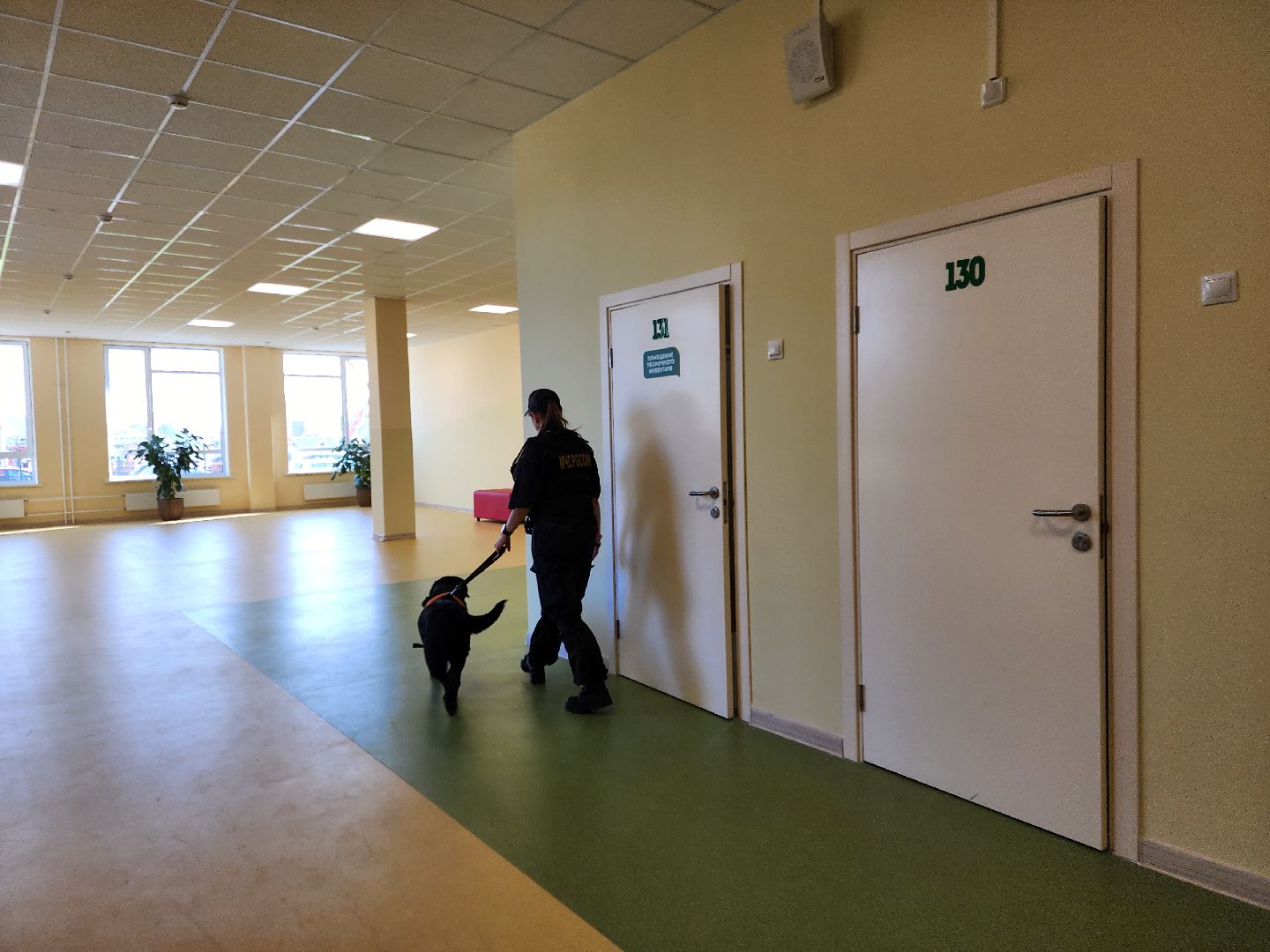 ногинск, жители, учения, центр образования, общество, школа, учения мчс, гражданская оборона,