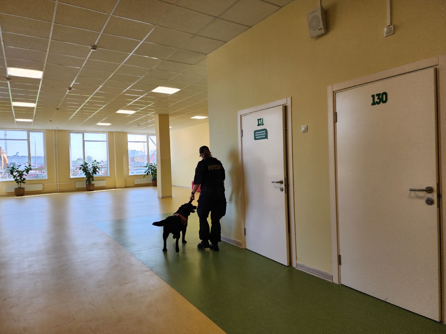 ногинск, жители, учения, центр образования, общество, школа, учения мчс, гражданская оборона,