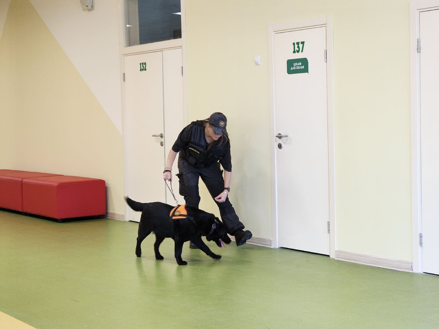 ногинск, жители, учения, центр образования, общество, школа, учения мчс, гражданская оборона,