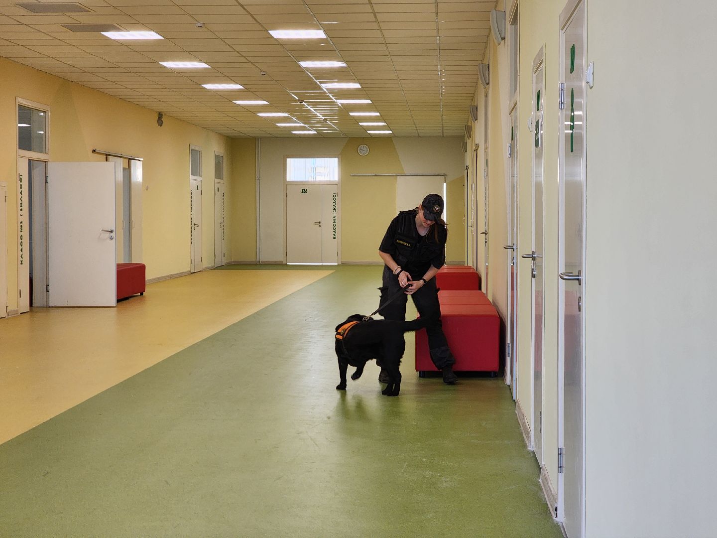 ногинск, жители, учения, центр образования, общество, школа, учения мчс, гражданская оборона,