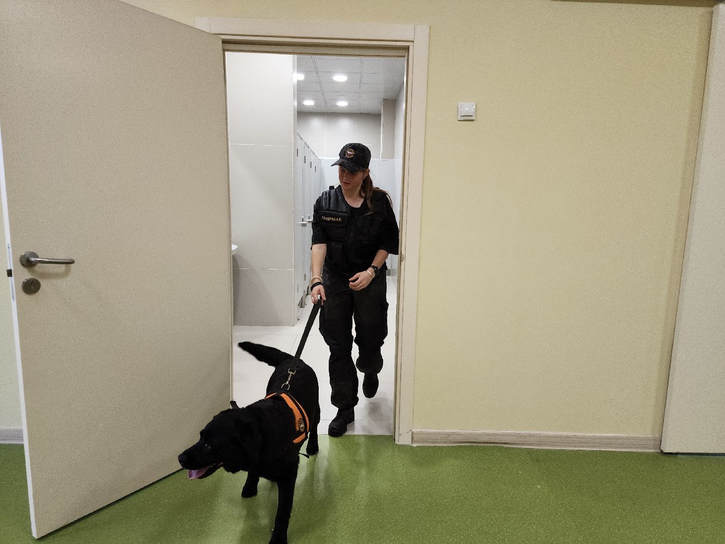 ногинск, жители, учения, центр образования, общество, школа, учения мчс, гражданская оборона,