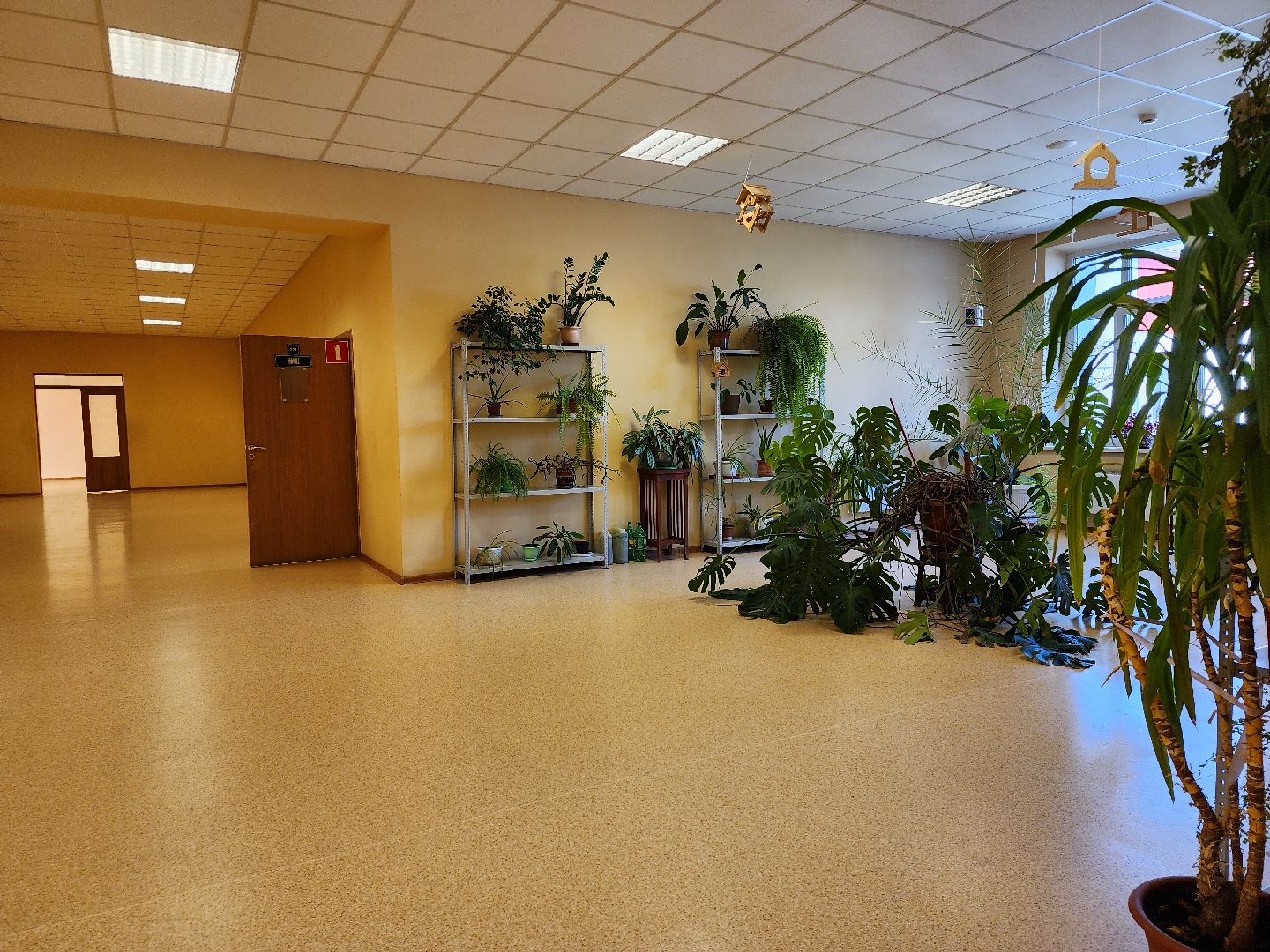 учебный год 2024-2025, подготовка к новому учебному году, 1 сентября, старая купавна, Богородский городской округ,