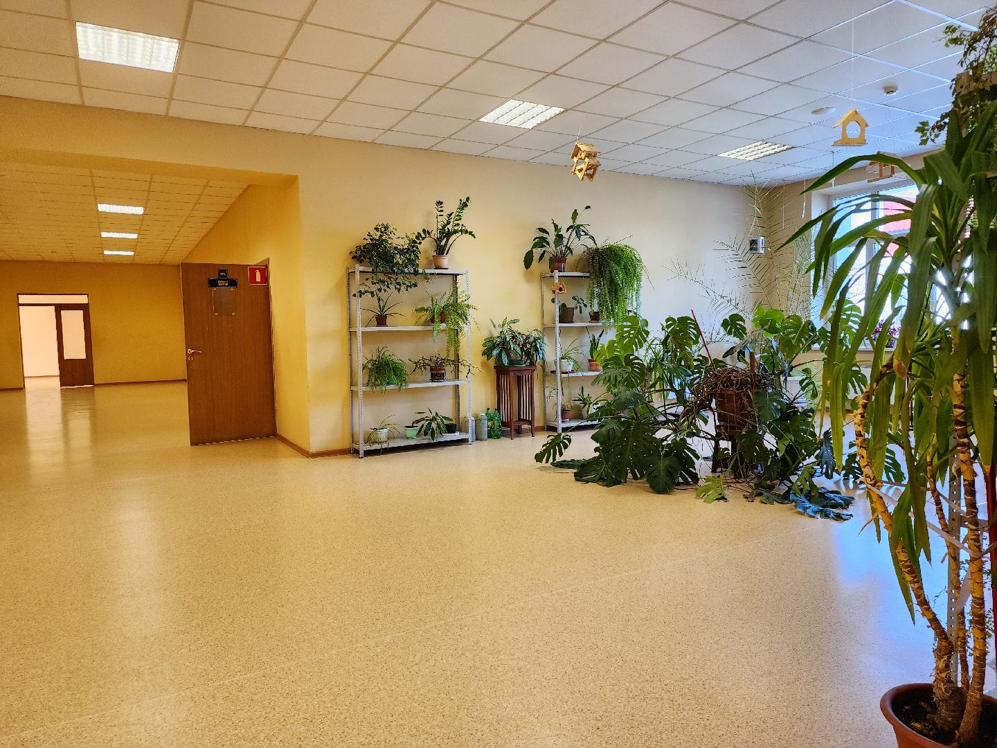 учебный год 2024-2025, подготовка к новому учебному году, 1 сентября, старая купавна, Богородский городской округ,