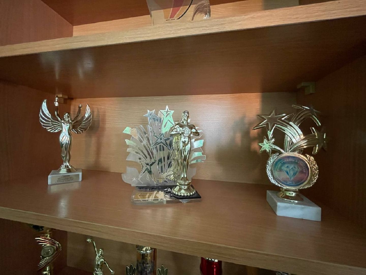 Дмитров, Гимназия Логос, Минобр,