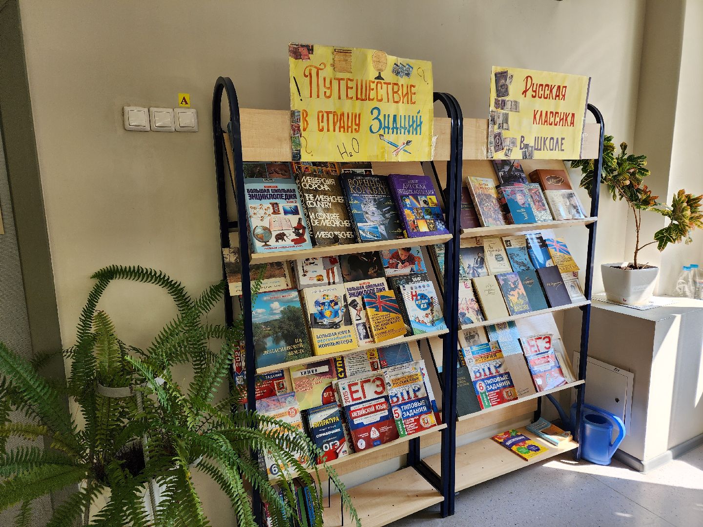 Чехов, микрорайон Губернский, школа 10, подготовка к новому учебному году, книгообеспечение, система Книгозаказ, учебники, книги, учебные пособия,