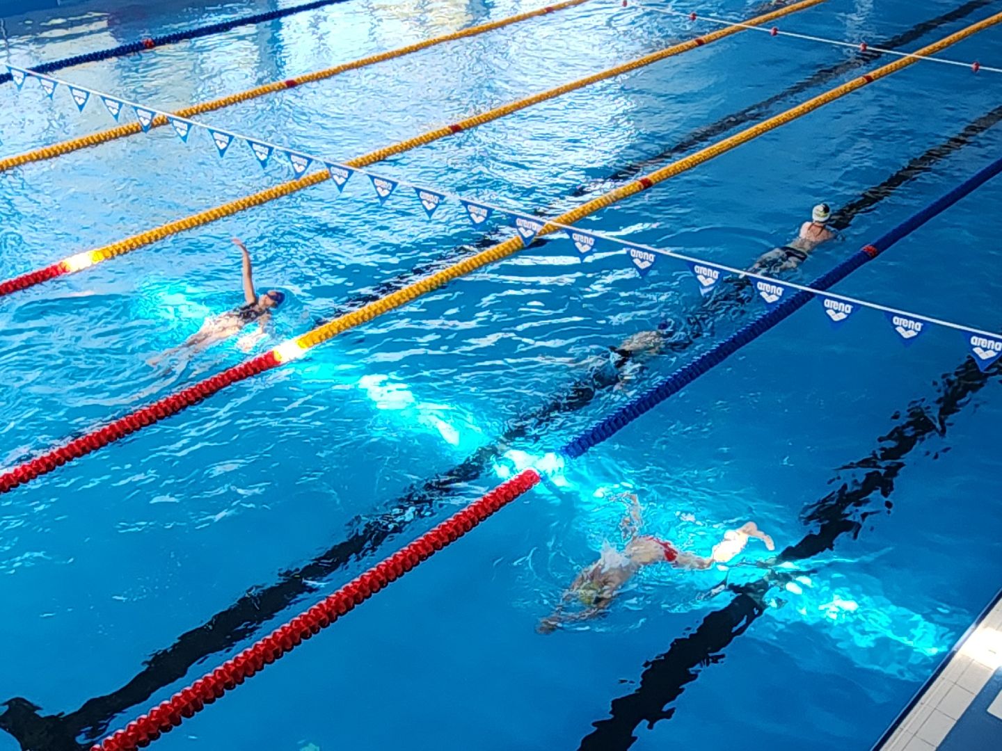 бассейн, реконструкция, мытищи,