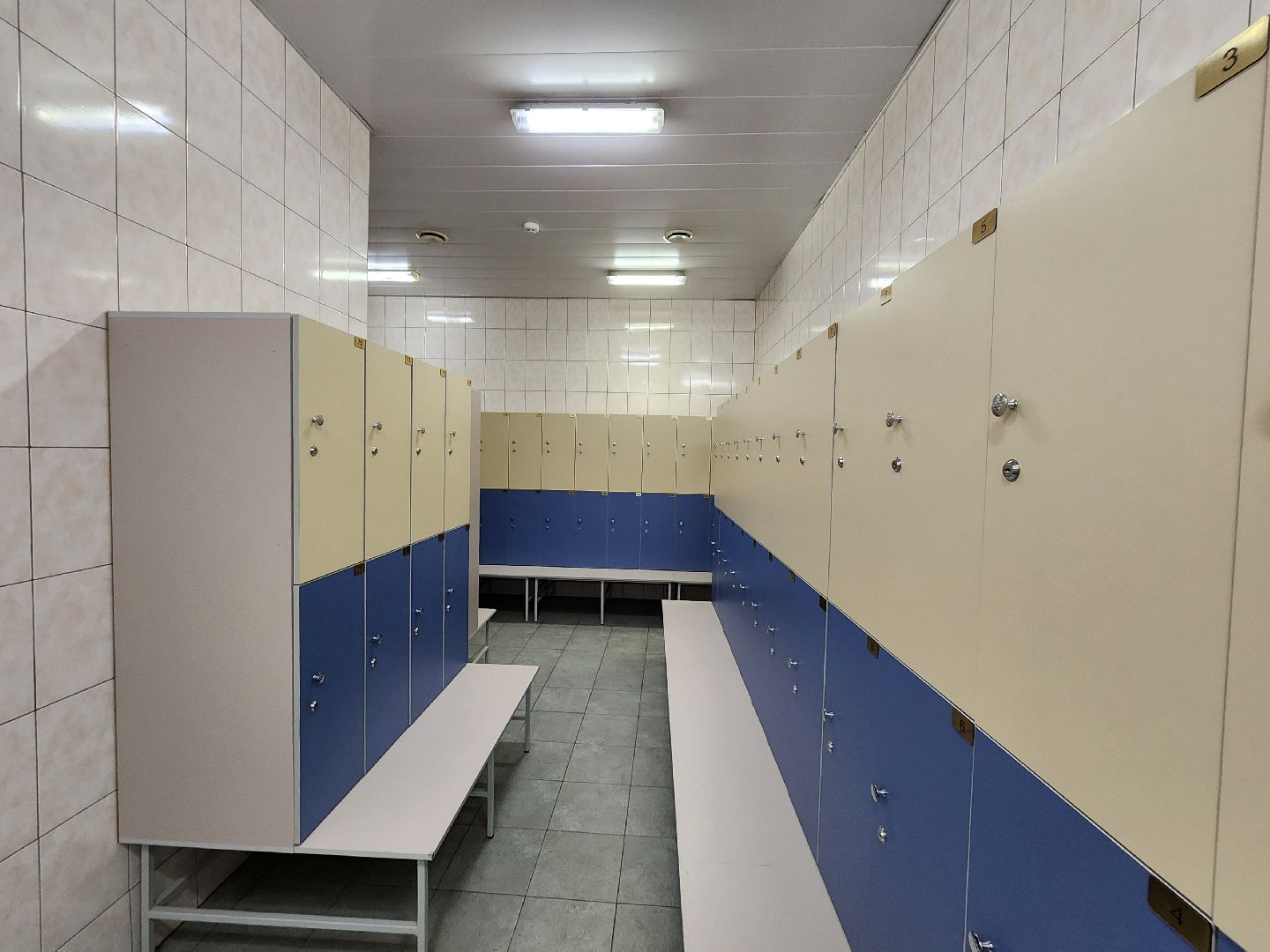 бассейн, реконструкция, мытищи,