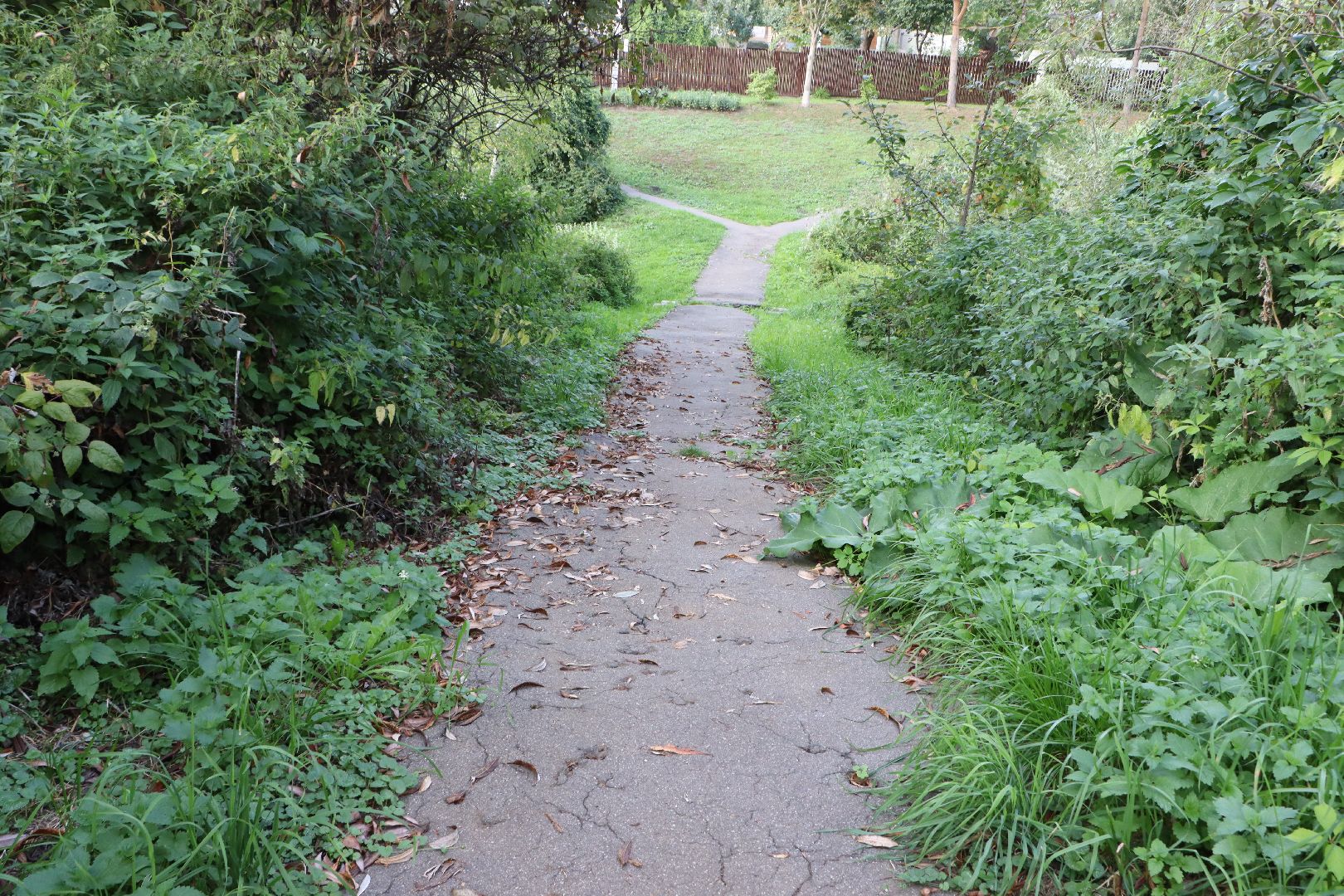 выездная администрация, власть, Серебряные Пруды, Поселок Дмитриевский,