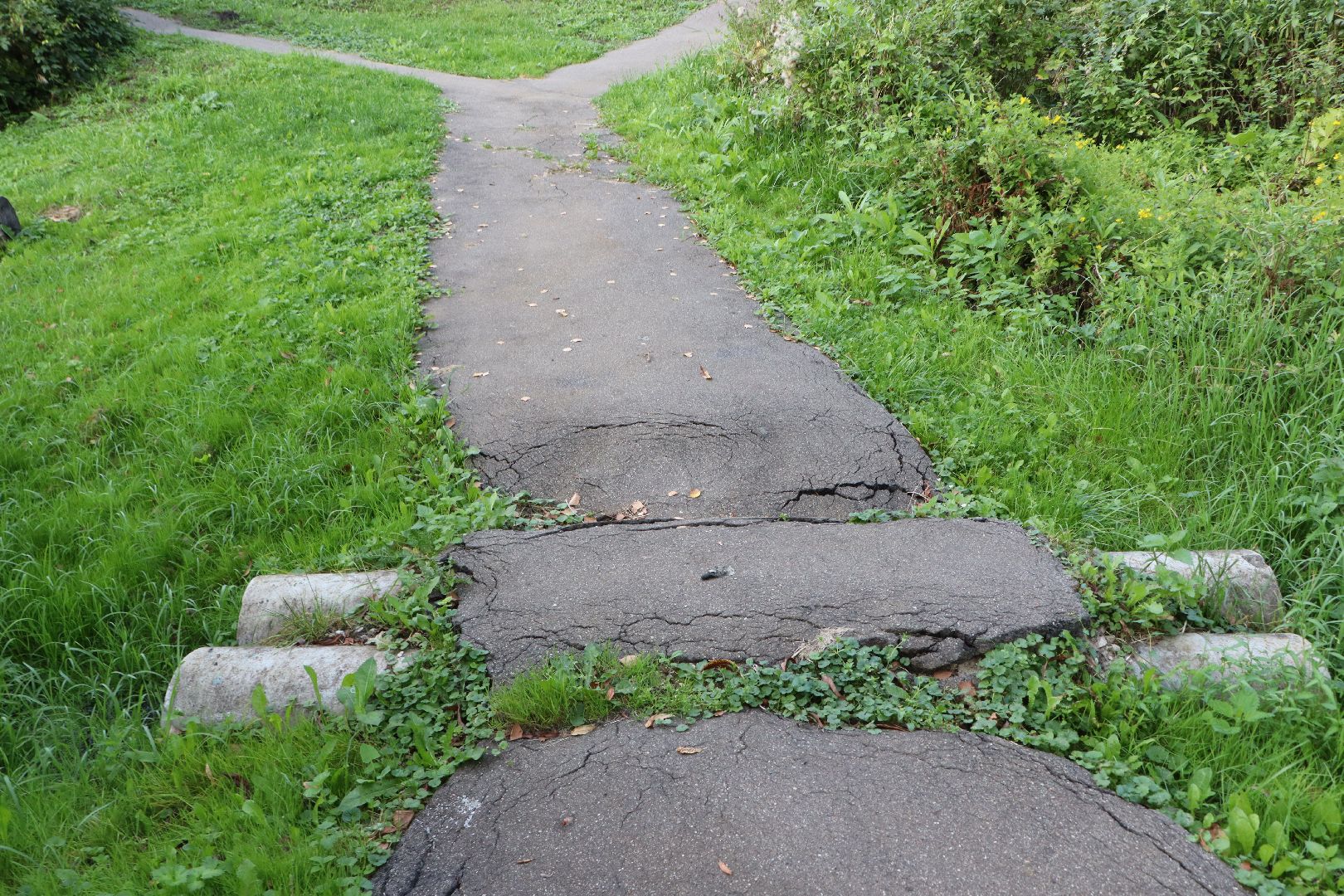 выездная администрация, власть, Серебряные Пруды, Поселок Дмитриевский,