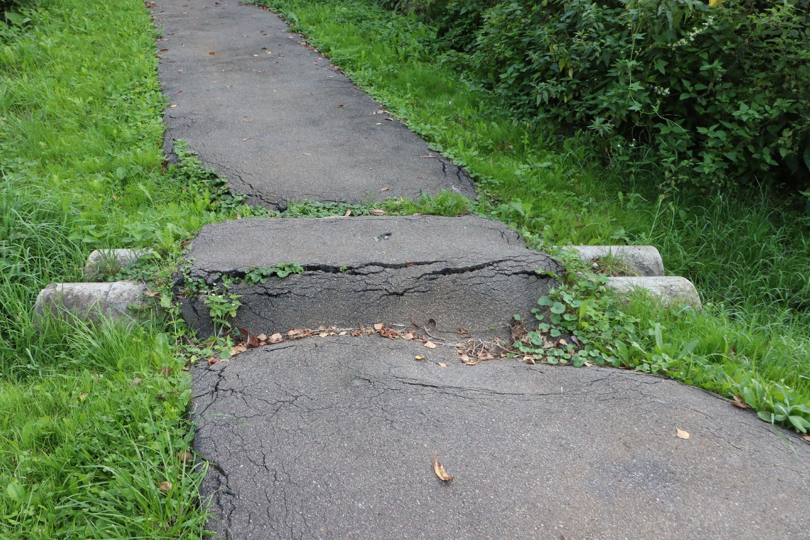 выездная администрация, власть, Серебряные Пруды, Поселок Дмитриевский,