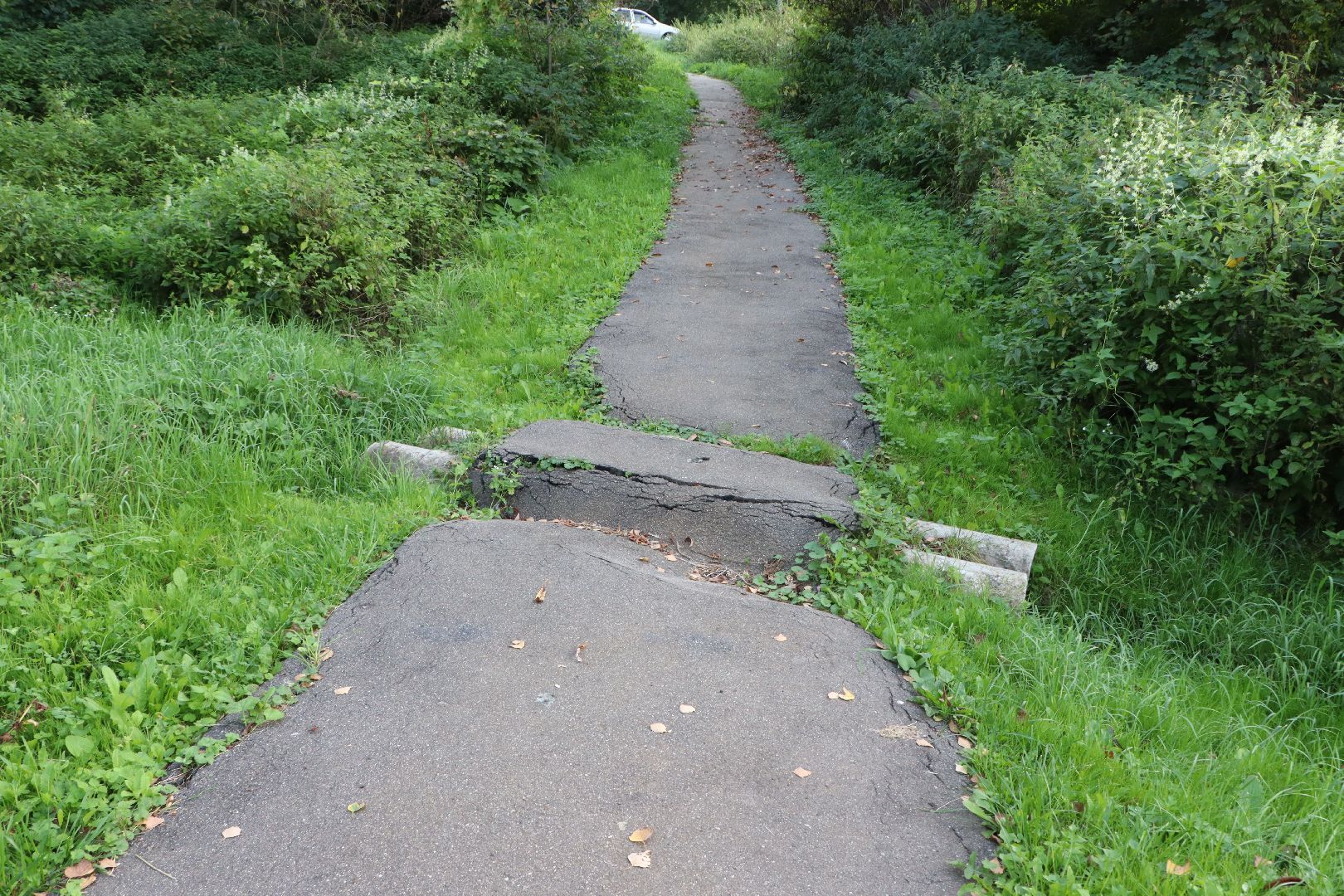 выездная администрация, власть, Серебряные Пруды, Поселок Дмитриевский,