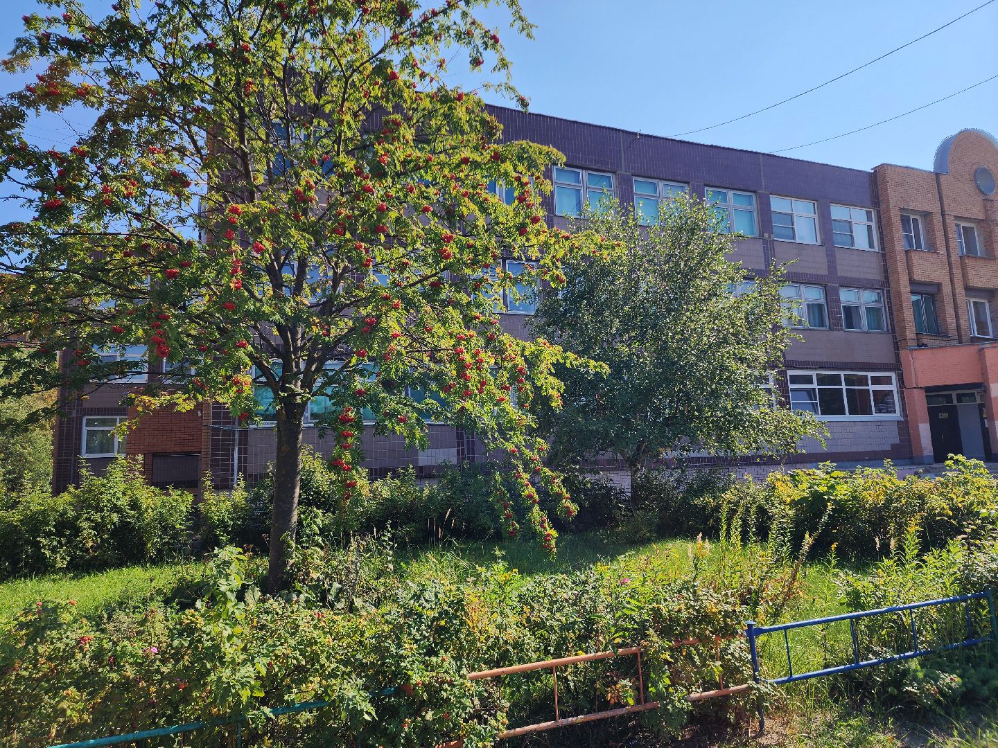 электросталь, учения, учения антитеррор, лицей 7, тренировка, антитеррористическая безопасность, антитеррористическая тренировка, антитеррористические учения,