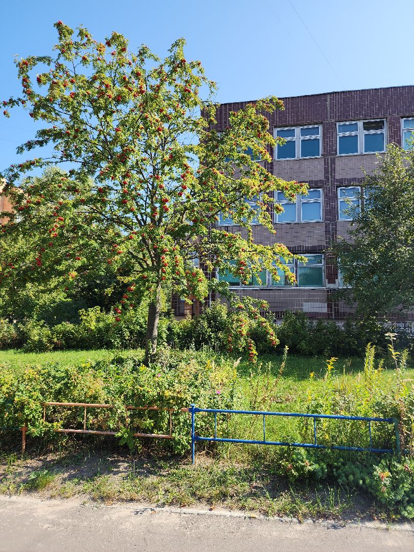 электросталь, учения, учения антитеррор, лицей 7, тренировка, антитеррористическая безопасность, антитеррористическая тренировка, антитеррористические учения,