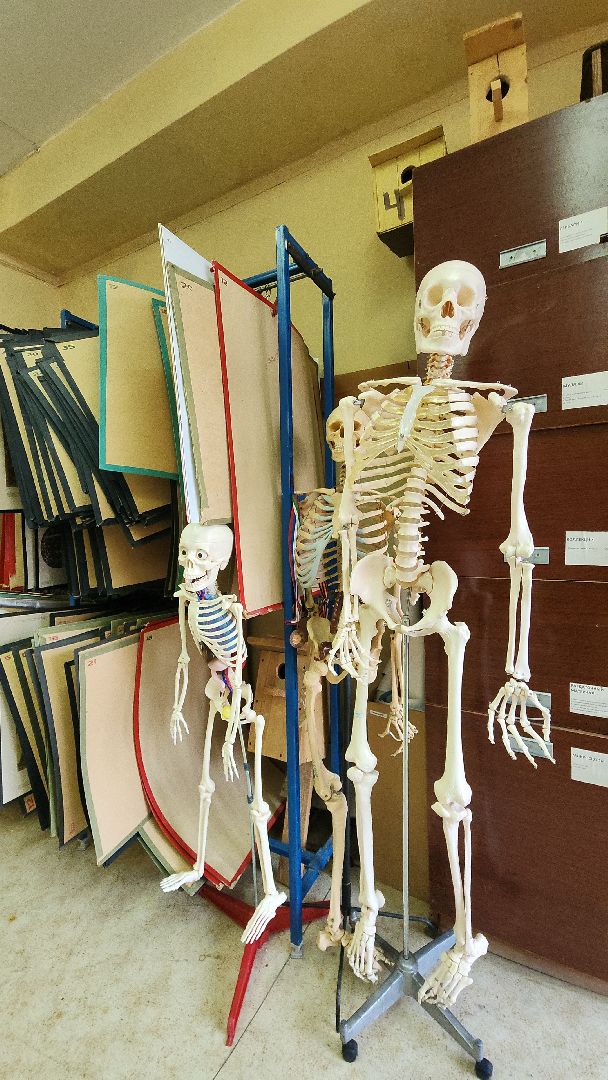 топ 100 учителей подмосковья, лучший учитель, лицей 7, электросталь, учитель биологии, мой город, образование, образование в подмосковье, образование электросталь,