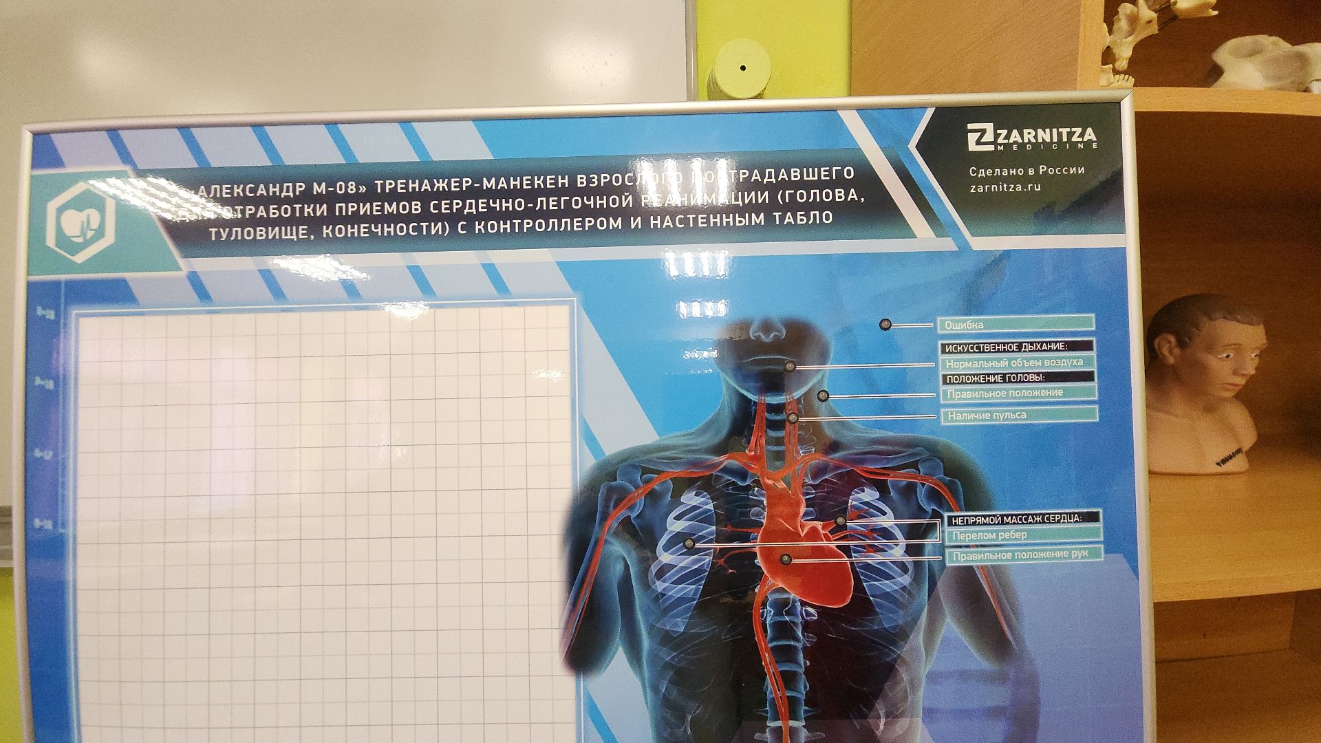 топ 100 учителей подмосковья, лучший учитель, лицей 7, электросталь, учитель биологии, мой город, образование, образование в подмосковье, образование электросталь,