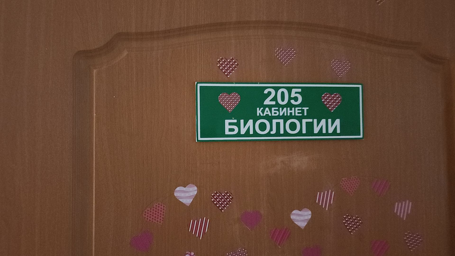 топ 100 учителей подмосковья, лучший учитель, лицей 7, электросталь, учитель биологии, мой город, образование, образование в подмосковье, образование электросталь,