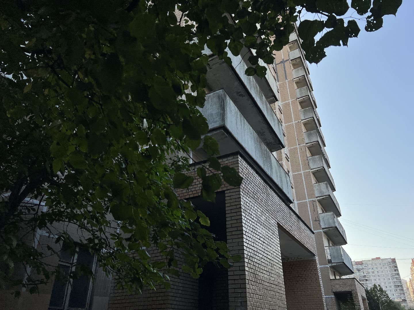 химки, благоустройство, выездная администрация, обращения жителей,