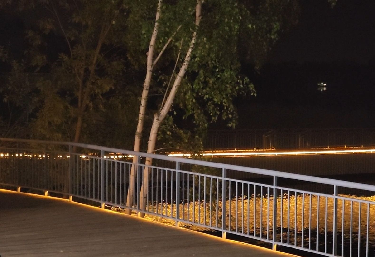 долгопрудный, котовский залив, котовские моржи, набережная, ночное освещение,