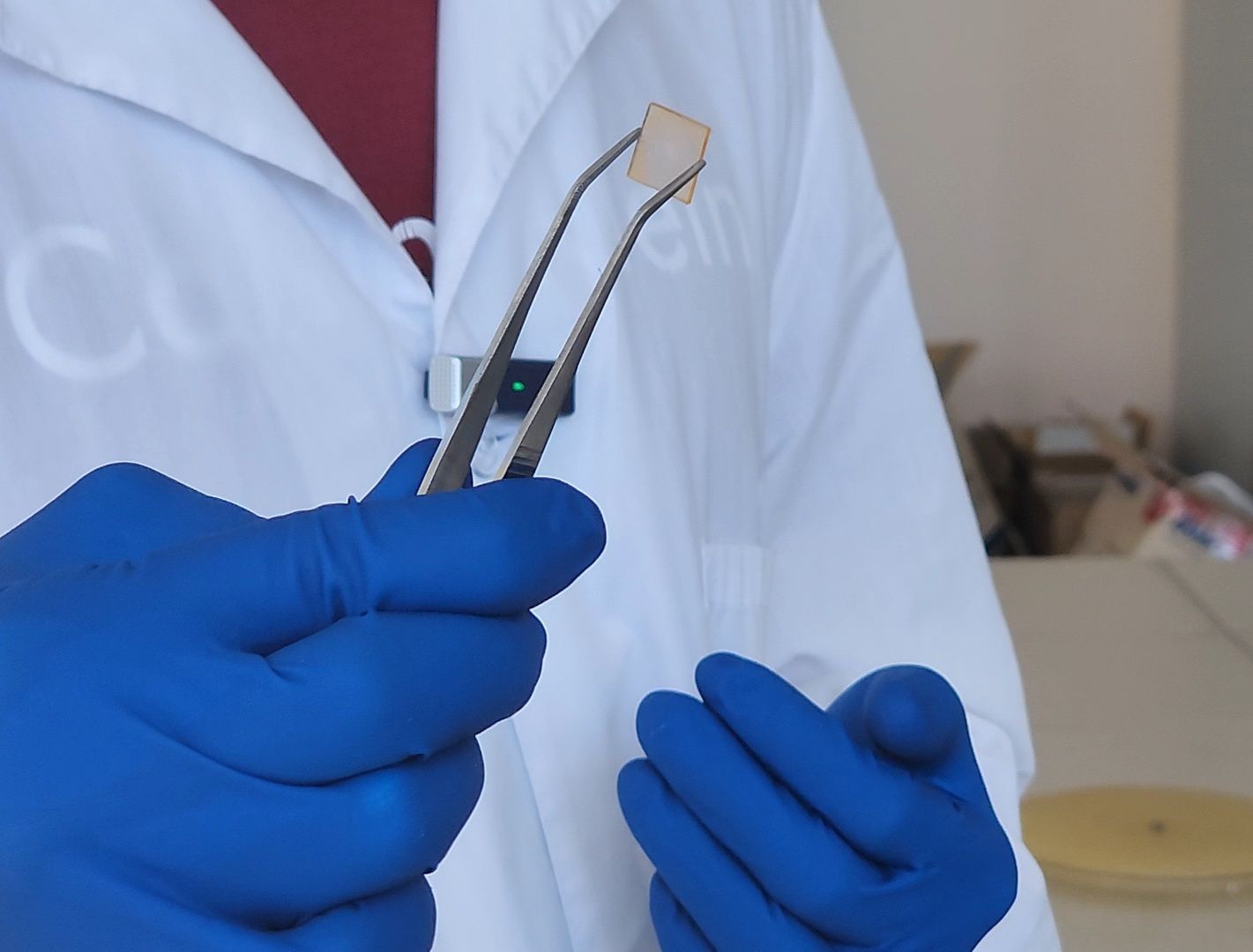 Дубна, Университет дубна, Дипломная работа, Выпускник, Магистратура,