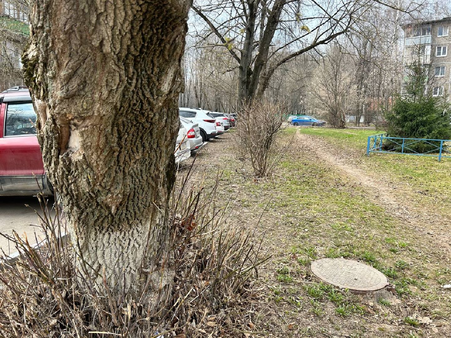 Подольск, уборка